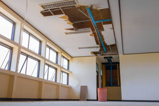 Best Ceiling water damage repair  in Neuse Forest, NC
