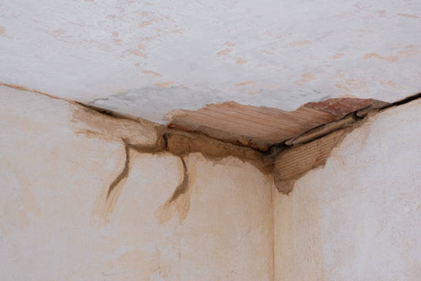 Best Water damage restoration experts  in Neuse Forest, NC