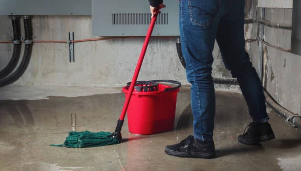 Best Water damage restoration near me  in Neuse Forest, NC