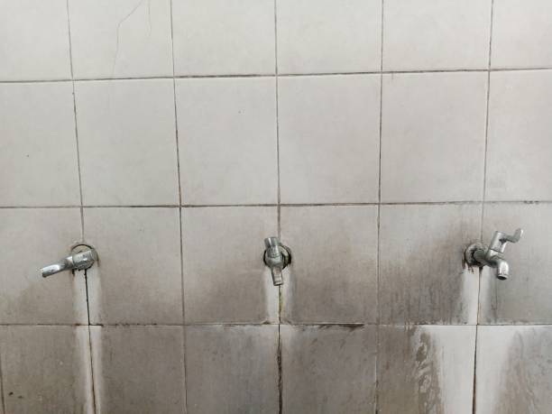 Best Emergency water damage restoration  in Neuse Forest, NC