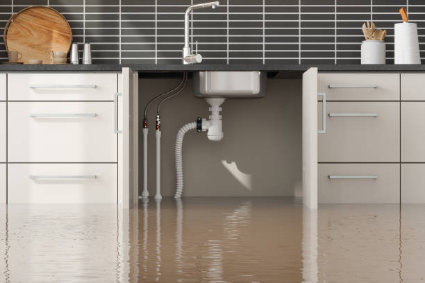 Best Water damage contractors near me  in Neuse Forest, NC