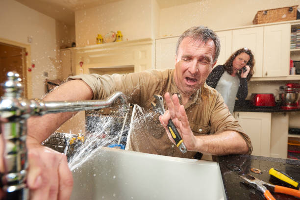 Best Flood damage cleanup  in Neuse Forest, NC
